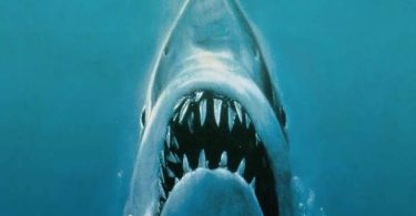 Les 50 ans de Jaws Une rétrospective captivante