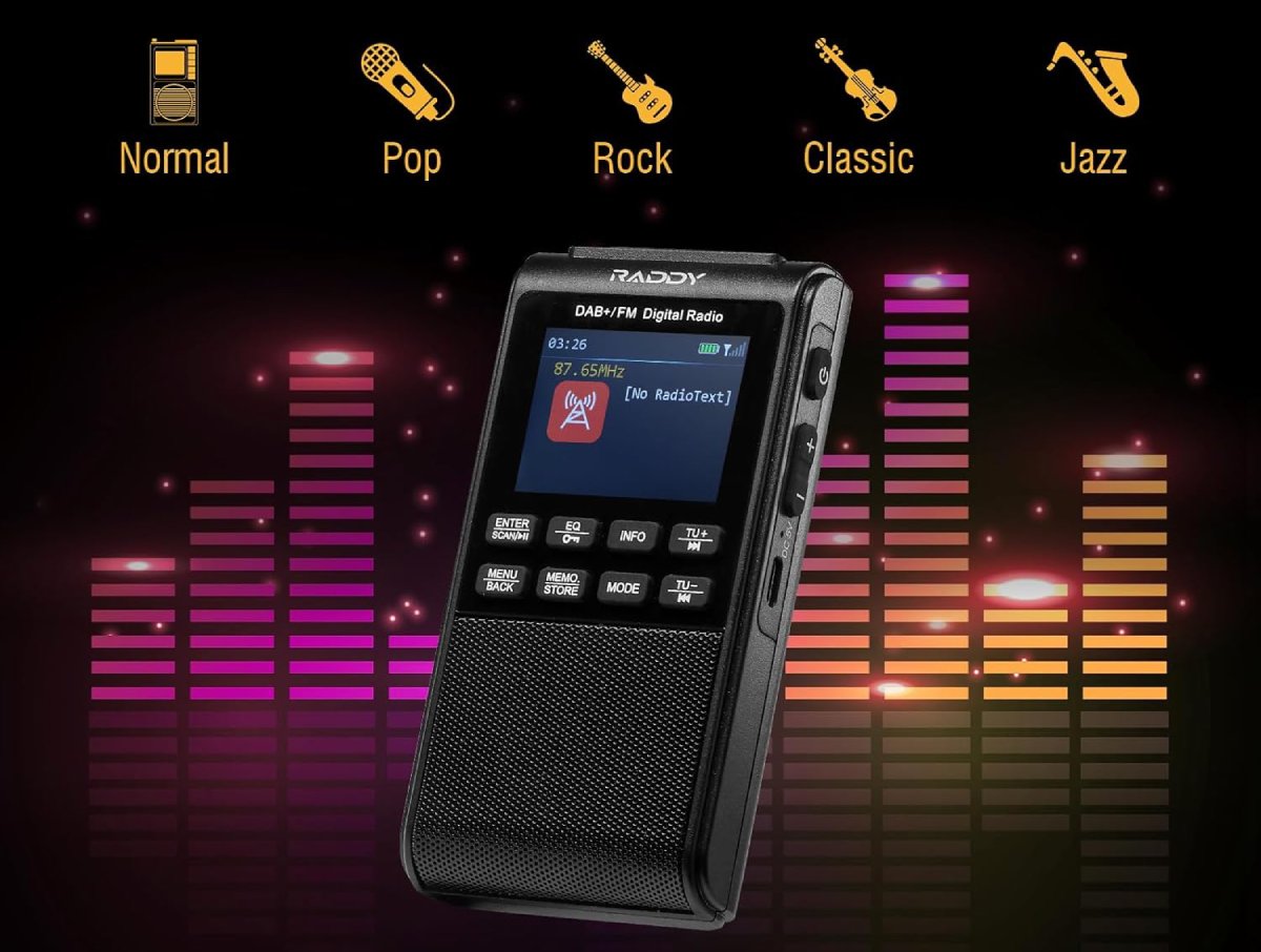 MON Avis sur la Radio Portable DAB FM Raddy RD939 - Caractéristiques Techniques Détaillées