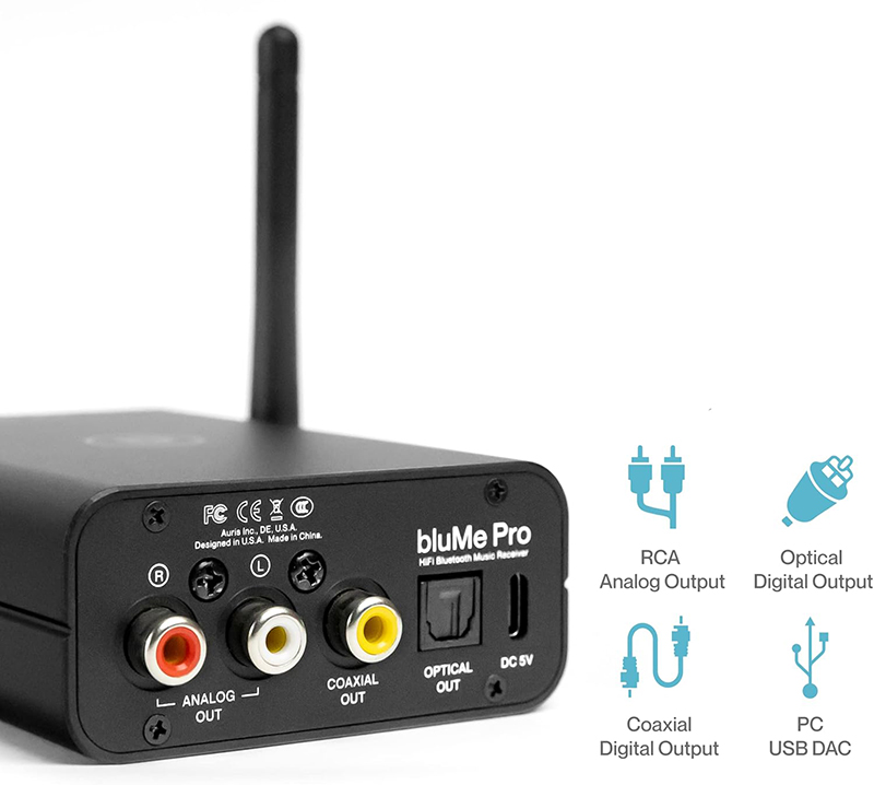 Vue Arrière Test - du 1Mii B06HD+ Récepteur - Bluetooth 5.1 avec LDAC aptX HD Notre Avis Complet