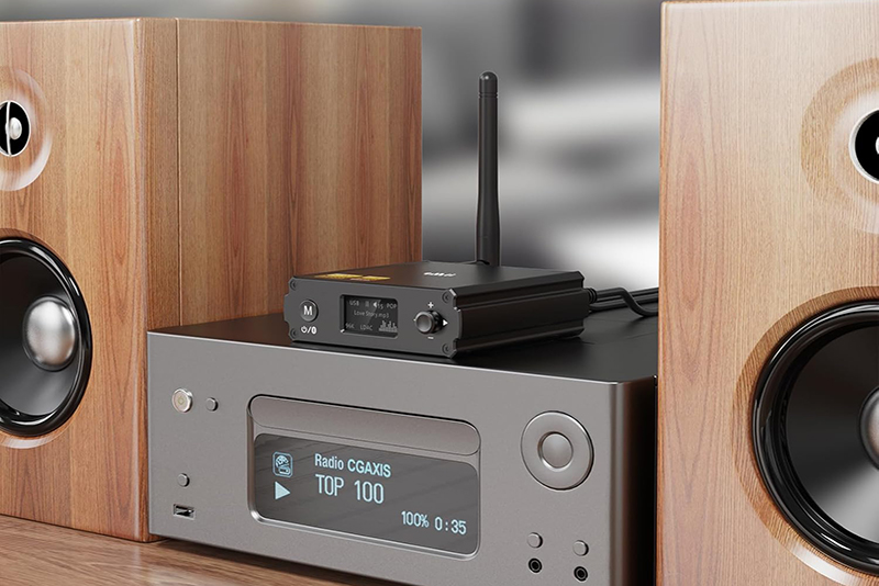 Vue générale 1Mii DS220 Recepteur Bluetooth Hi-Res avec LDAC