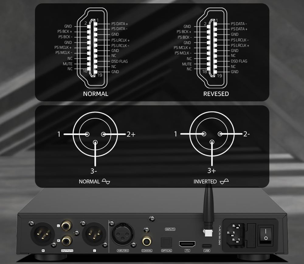SMSL DL400 - Connectique ou Le Couteau Suisse de l'Audio