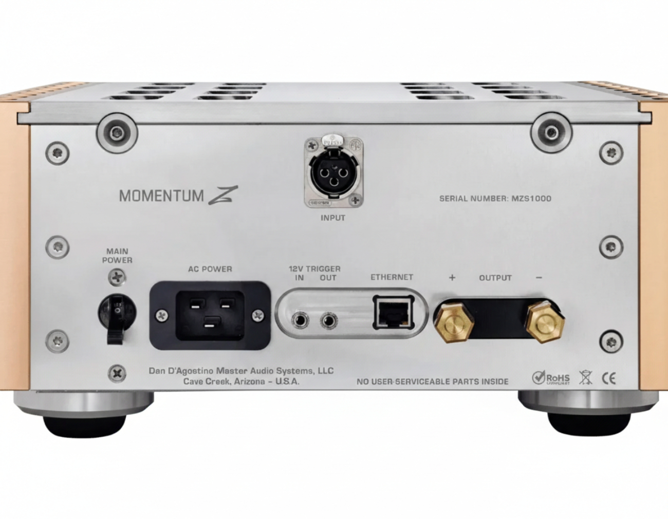 Panneau arrière de l’amplificateur Dan D'Agostino Momentum Z avec entrée XLR, bornes HP et alimentation