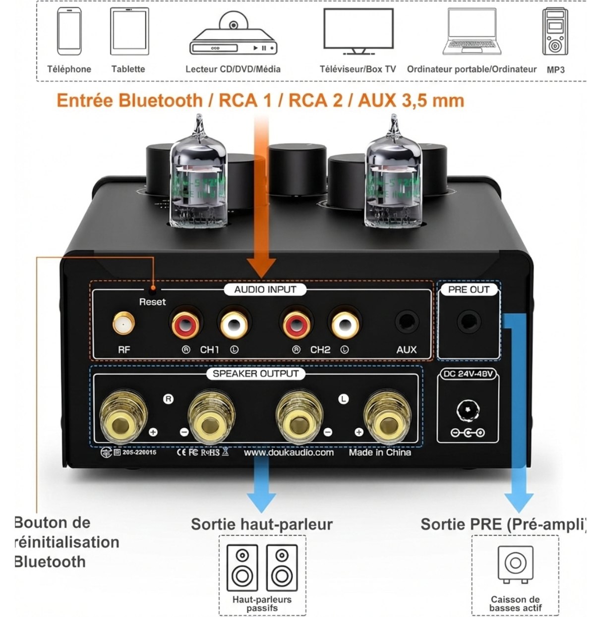 Arrière Douk Audio T6 Pro avec entrées Bluetooth RCA AUX et sorties haut parleur pre out