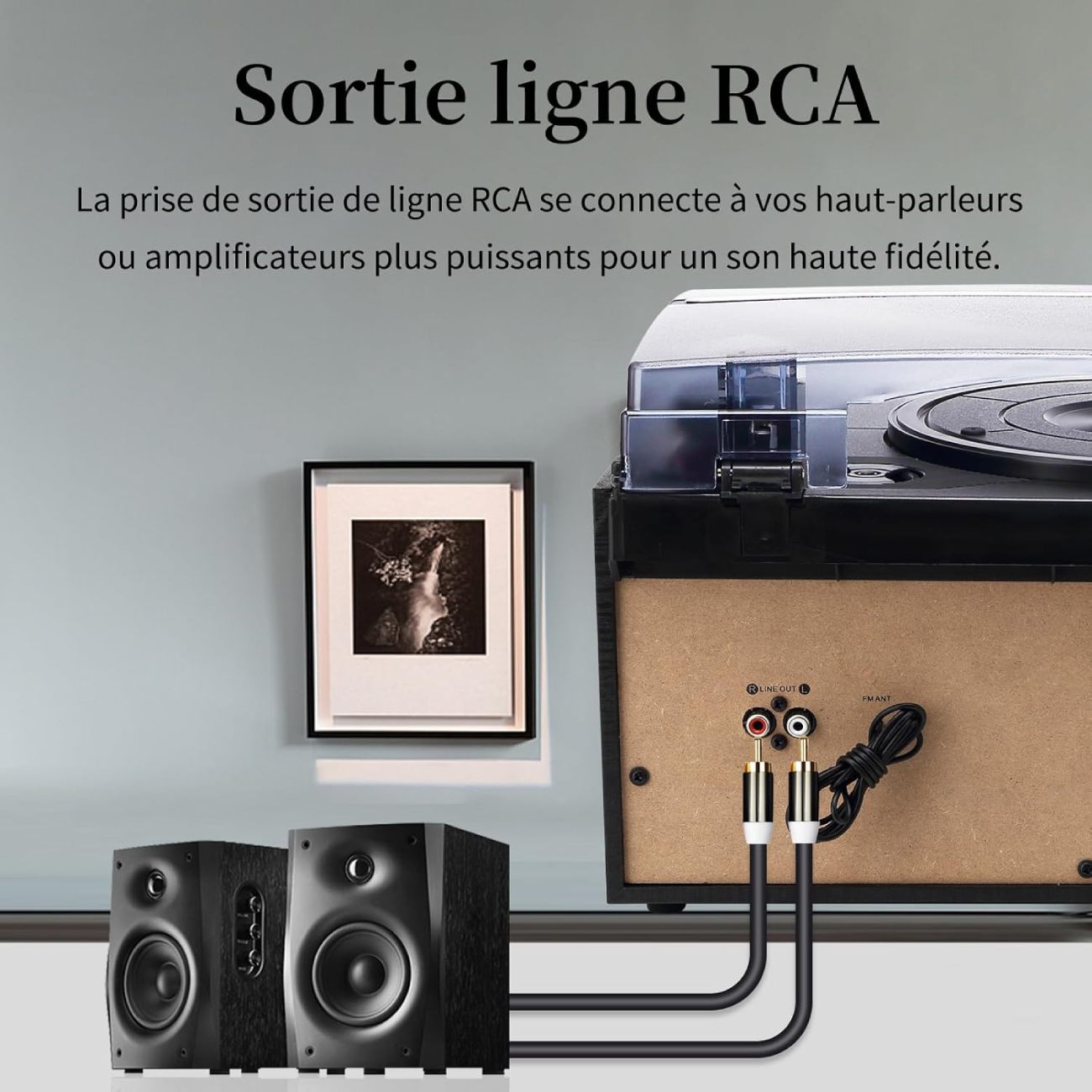 Vue arrière de la platine Jorlau montrant la sortie ligne RCA connectée par câbles à une paire d'enceintes de bibliothèque pour améliorer la qualité sonore.