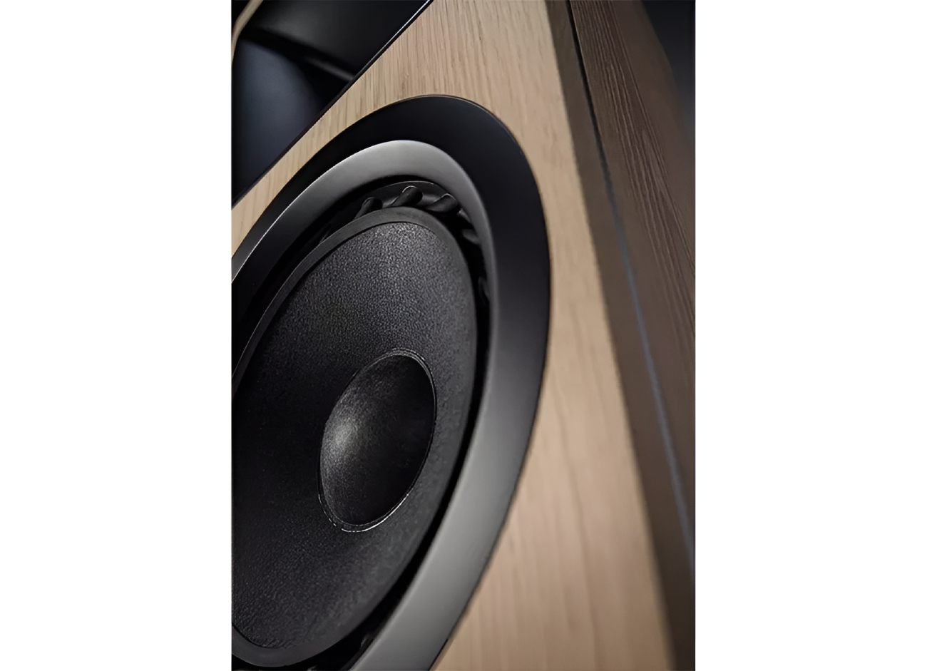 Détail du woofer Ø Audio Ymir avec membrane texturée et cache-noyau en dôme inversé