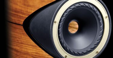 Fyne Audio F1-10 Anniversary : haut-parleur coaxial IsoFlare avec tweeter à compression central et bague dorée, sur coffret en ronce de noyer vernie