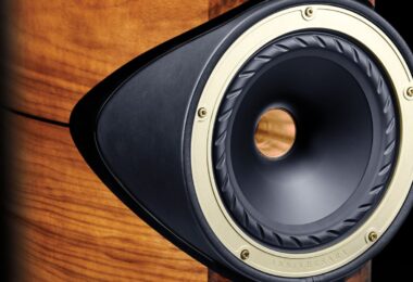 Fyne Audio F1-10 Anniversary : haut-parleur coaxial IsoFlare avec tweeter à compression central et bague dorée, sur coffret en ronce de noyer vernie