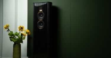 Nouvelle enceinte colonne Steinway & Sons Model O noire laquée avec deux haut-parleurs médium-grave cerclés d'or et tweeter AMT, placée près d'un mur vert