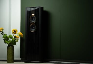 Nouvelle enceinte colonne Steinway & Sons Model O noire laquée avec deux haut-parleurs médium-grave cerclés d'or et tweeter AMT, placée près d'un mur vert